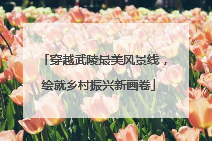 穿越武陵最美风景线，绘就乡村振兴新画卷