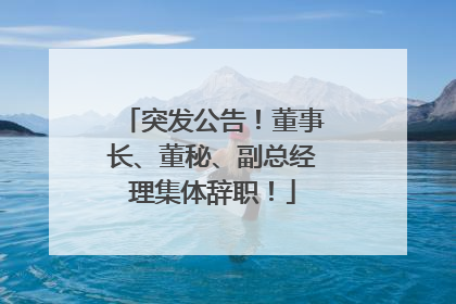 突发公告！董事长、董秘、副总经理集体辞职！