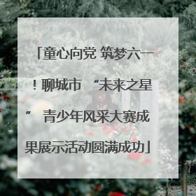 童心向党 筑梦六一！聊城市 “未来之星” 青少年风采大赛成果展示活动圆满成功