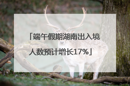 端午假期湖南出入境人数预计增长17%