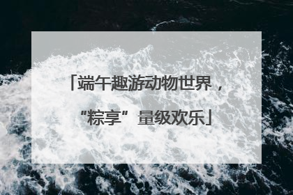 端午趣游动物世界，“粽享”量级欢乐