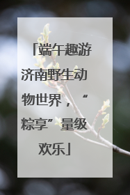 端午趣游济南野生动物世界，“粽享”量级欢乐
