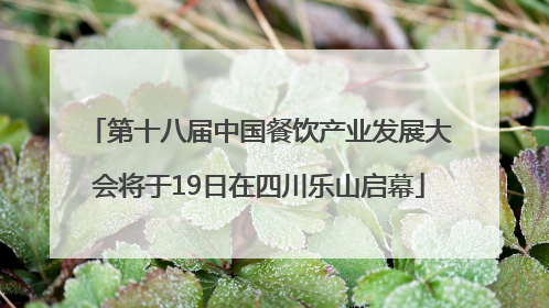 第十八届中国餐饮产业发展大会将于19日在四川乐山启幕