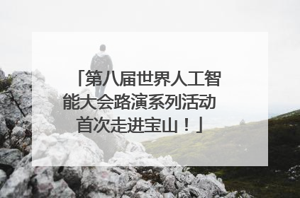 第八届世界人工智能大会路演系列活动首次走进宝山！