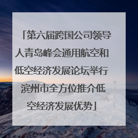 第六届跨国公司领导人青岛峰会通用航空和低空经济发展论坛举行 滨州市全方位推介低空经济发展优势