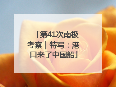 第41次南极考察｜特写：港口来了中国船