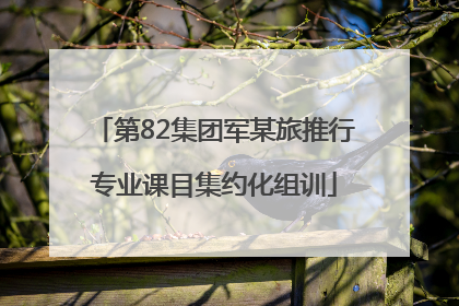 第82集团军某旅推行专业课目集约化组训