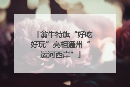 翁牛特旗“好吃好玩”亮相通州“运河西岸”