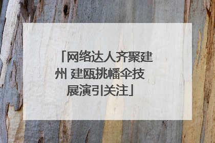 网络达人齐聚建州 建瓯挑幡伞技展演引关注
