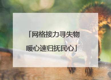 网格接力寻失物 暖心速归抚民心