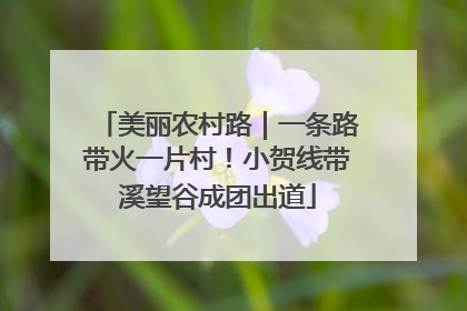 美丽农村路｜一条路带火一片村！小贺线带溪望谷成团出道