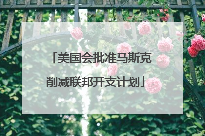 美国会批准马斯克削减联邦开支计划