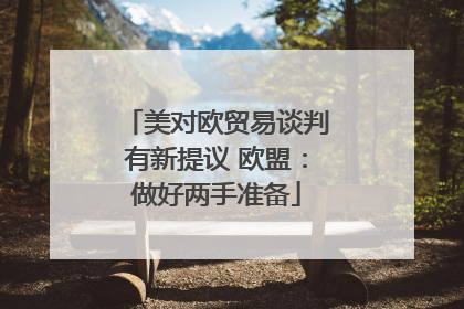 美对欧贸易谈判有新提议 欧盟：做好两手准备