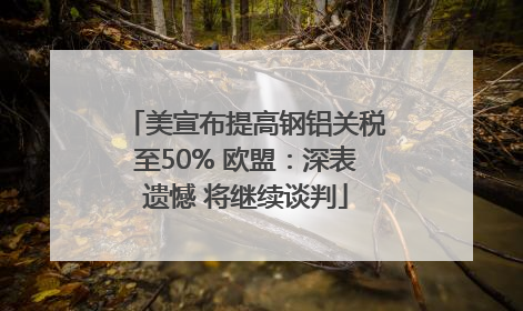美宣布提高钢铝关税至50% 欧盟：深表遗憾 将继续谈判
