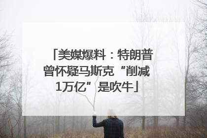 美媒爆料：特朗普曾怀疑马斯克“削减1万亿”是吹牛