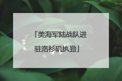 美海军陆战队进驻洛杉矶执勤