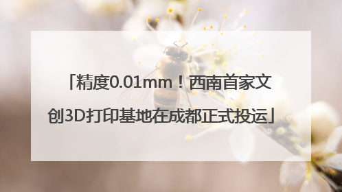 精度0.01mm！西南首家文创3D打印基地在成都正式投运
