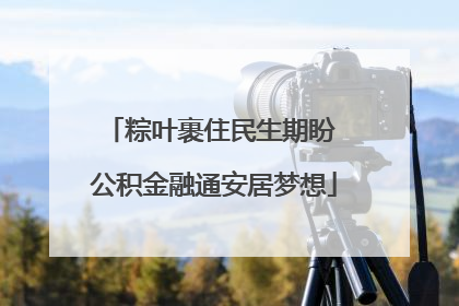 粽叶裹住民生期盼 公积金融通安居梦想