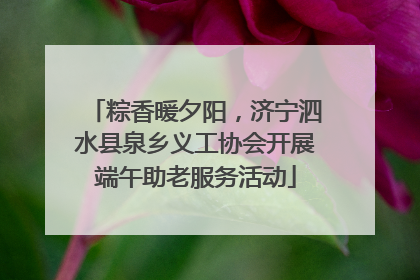 粽香暖夕阳，济宁泗水县泉乡义工协会开展端午助老服务活动