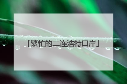 繁忙的二连浩特口岸