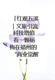 红观五溪｜文旅引流 科技增值 看一颗杨梅在靖州的“商业觉醒”