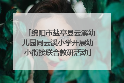 绵阳市盐亭县云溪幼儿园同云溪小学开展幼小衔接联合教研活动
