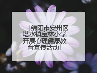 绵阳市安州区塔水镇宝林小学开展心理健康教育宣传活动