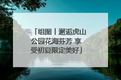 组图丨邂逅虎山公园花海芬芳 享受初夏限定美好