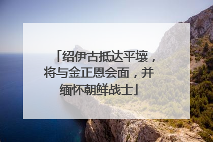 绍伊古抵达平壤，将与金正恩会面，并缅怀朝鲜战士