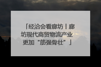经洽会看廊坊丨廊坊现代商贸物流产业更加“筋强骨壮”