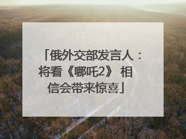 俄外交部发言人：将看《哪吒2》 相信会带来惊喜