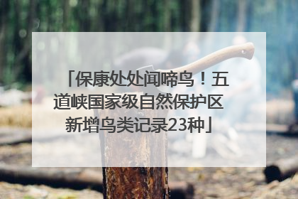 保康处处闻啼鸟！五道峡国家级自然保护区新增鸟类记录23种