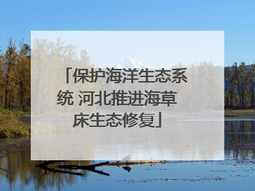 保护海洋生态系统 河北推进海草床生态修复