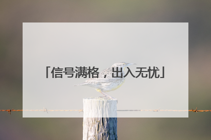 信号满格，出入无忧