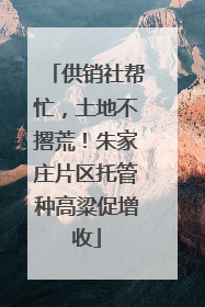 供销社帮忙，土地不撂荒！朱家庄片区托管种高粱促增收