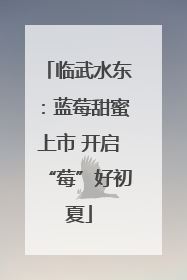临武水东：蓝莓甜蜜上市 开启“莓”好初夏