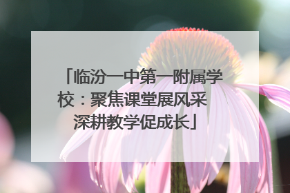 临汾一中第一附属学校：聚焦课堂展风采 深耕教学促成长
