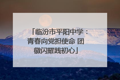 临汾市平阳中学：青春向党担使命 团徽闪耀践初心