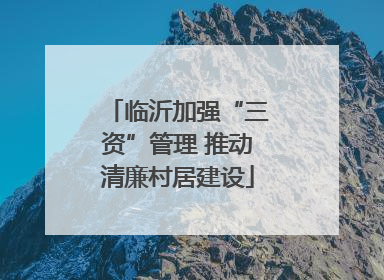 临沂加强“三资”管理 推动清廉村居建设
