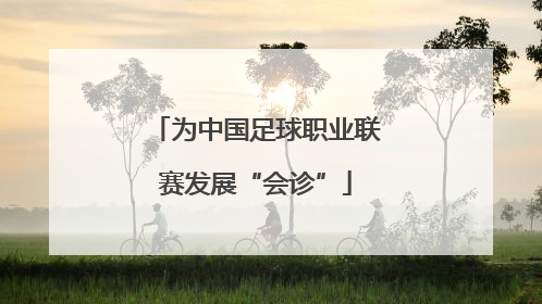 为中国足球职业联赛发展“会诊”