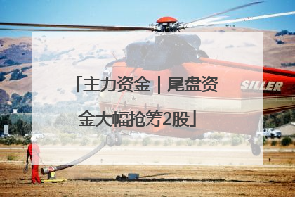 主力资金｜尾盘资金大幅抢筹2股