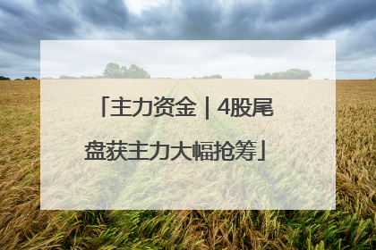 主力资金｜4股尾盘获主力大幅抢筹