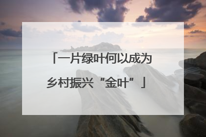 一片绿叶何以成为乡村振兴“金叶”
