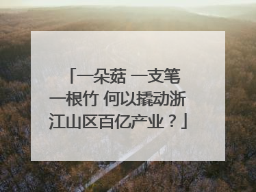 一朵菇 一支笔 一根竹 何以撬动浙江山区百亿产业？