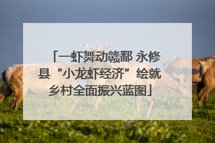 一虾舞动赣鄱 永修县“小龙虾经济”绘就乡村全面振兴蓝图
