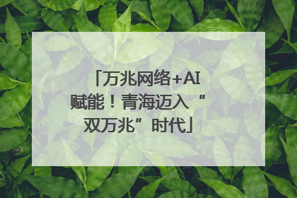 万兆网络+AI赋能！青海迈入“双万兆”时代