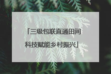 三级包联直通田间 科技赋能乡村振兴