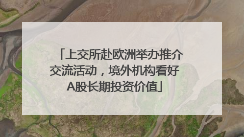 上交所赴欧洲举办推介交流活动，境外机构看好A股长期投资价值