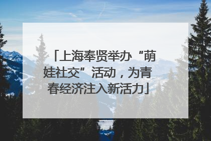 上海奉贤举办“萌娃社交”活动，为青春经济注入新活力