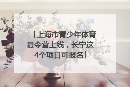 上海市青少年体育夏令营上线，长宁这4个项目可报名